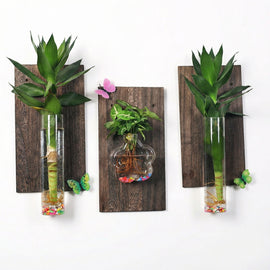 Nordic Wall Mounted Glass Plant Vase Set